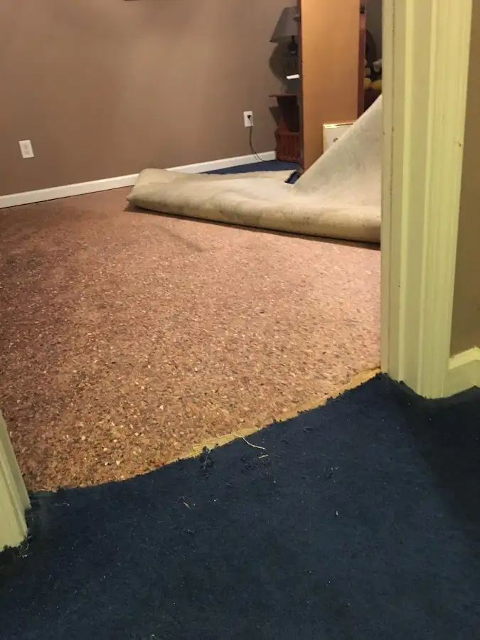 Carpet pad removal revealing water damage during Drying & Dehumidification in Upper St. Clair