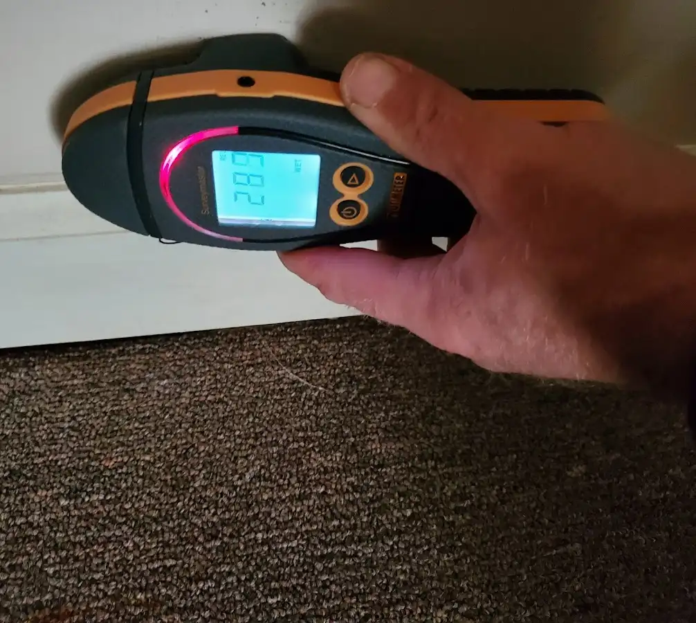 Moisture detection at baseboard during Burst Pipe Cleanup in Upper St. Clair